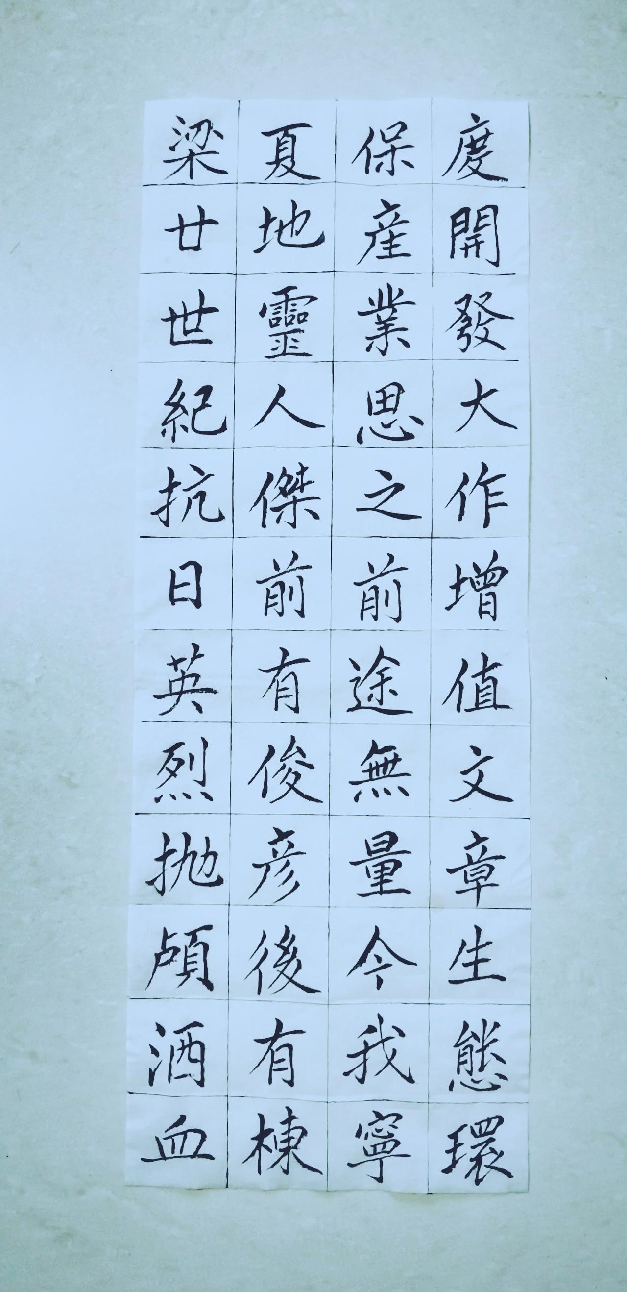 第八十八天《宁夏赋》（11）正楷毛笔练习