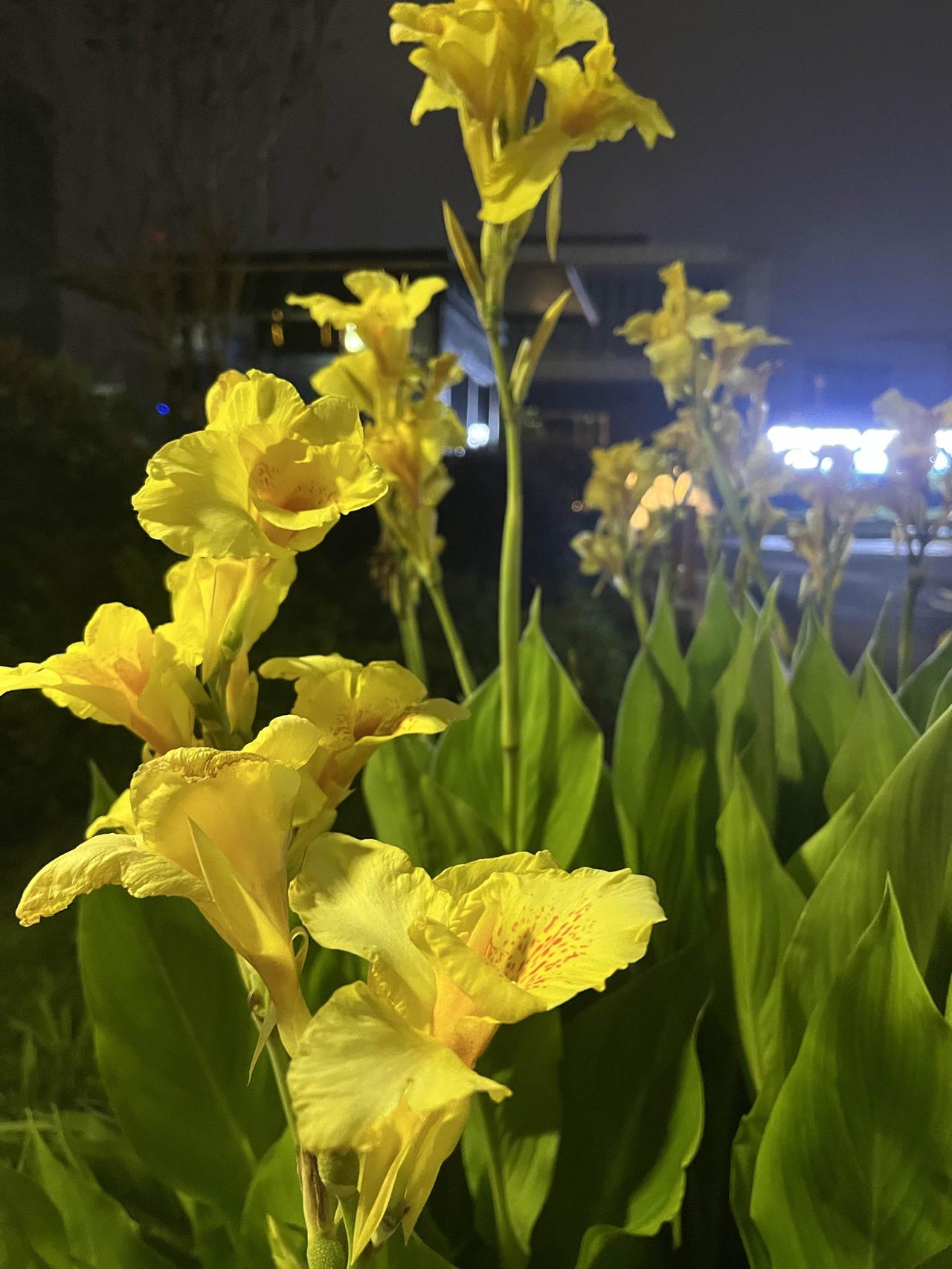 养生搞笑吧，我年轻，我身体好，我没时间，我才不信！

别等垮了才后悔，真不是吓唬