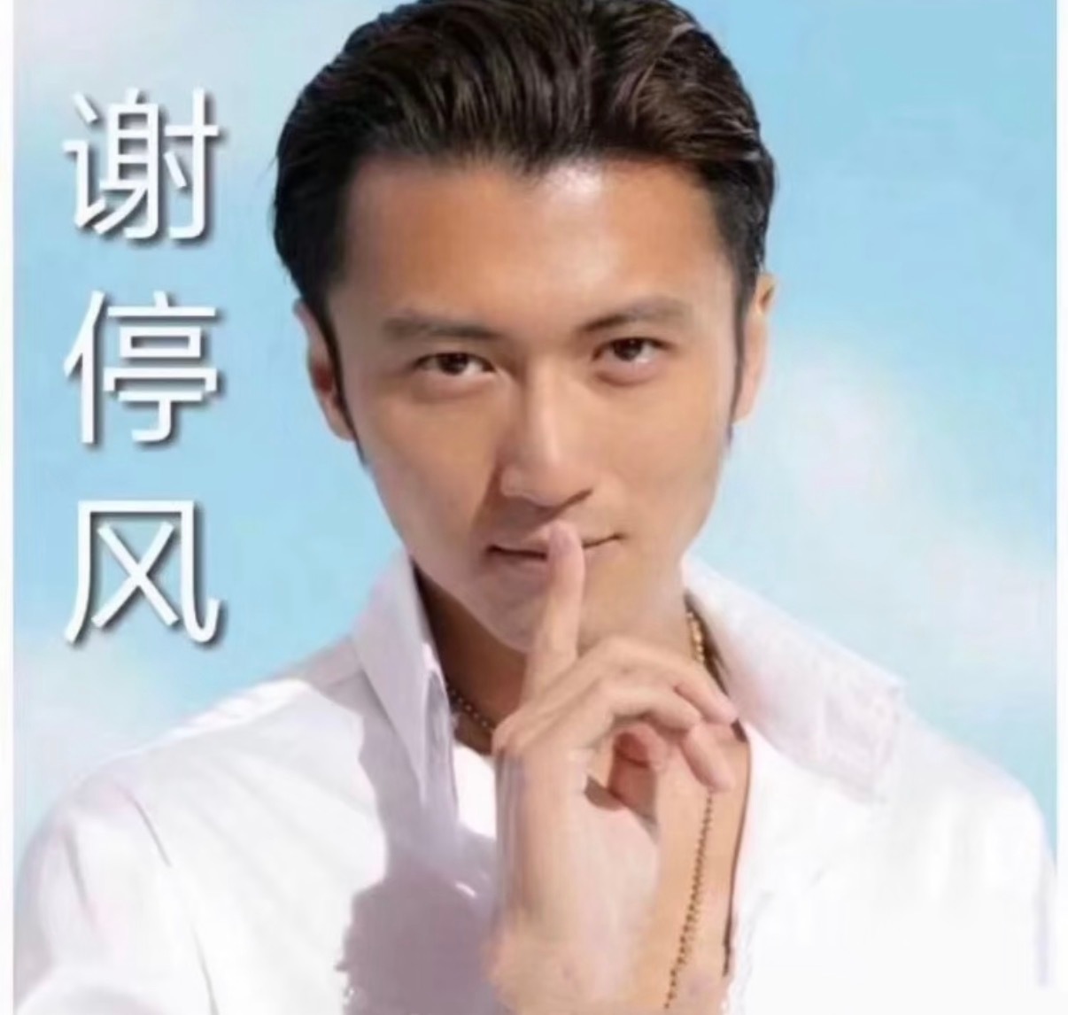 谢停风 