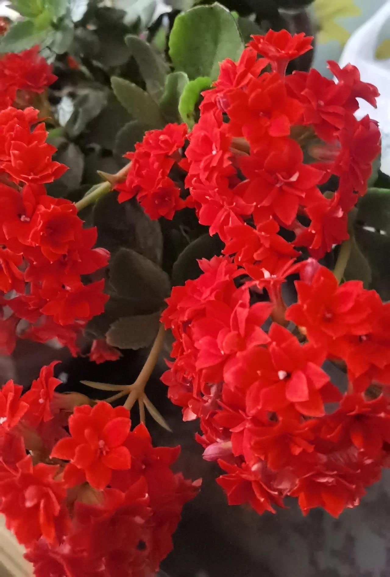 上联：日月明千里，
下联：丰色艳万年。