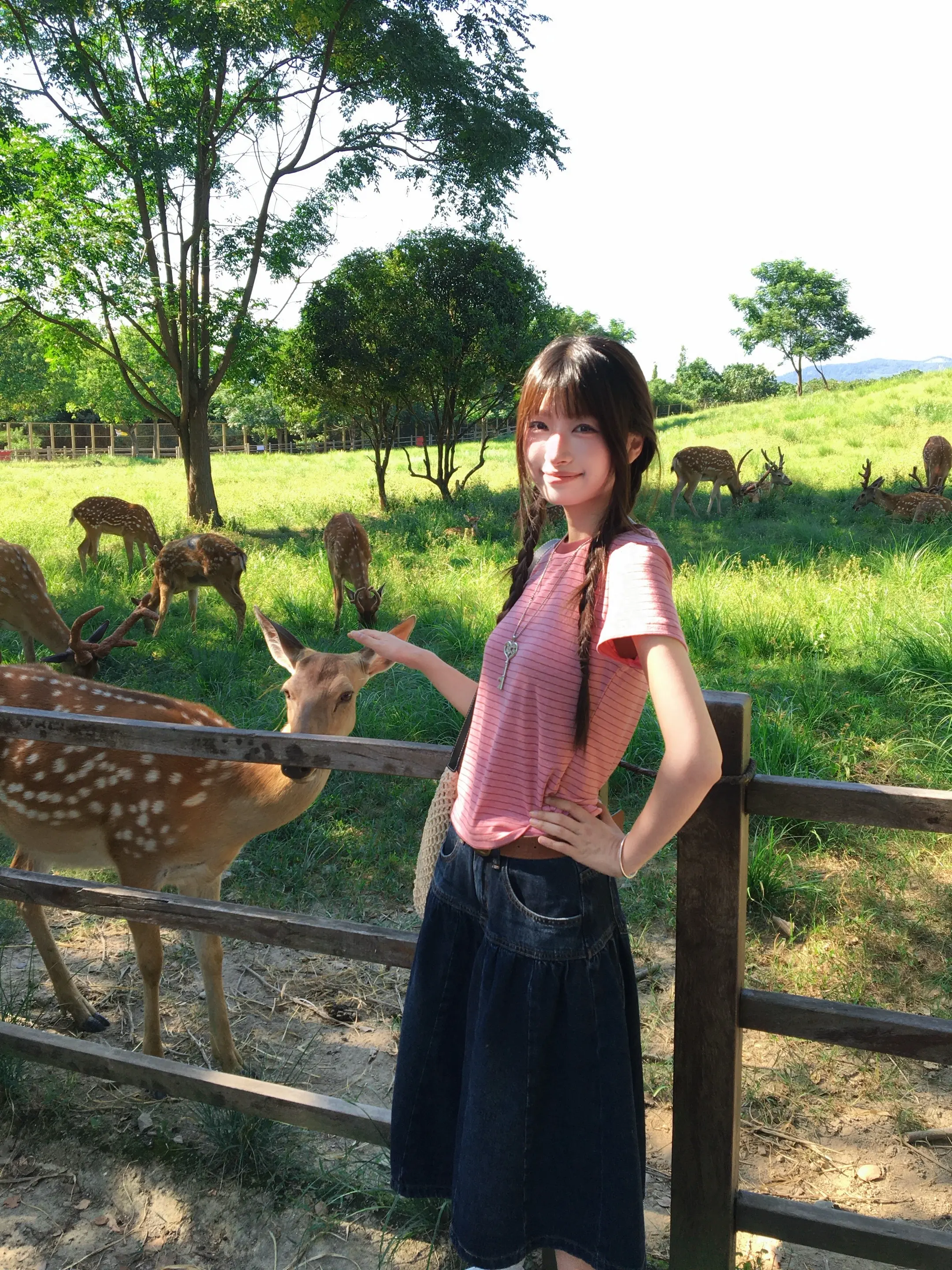 Whisper in summer🦌。