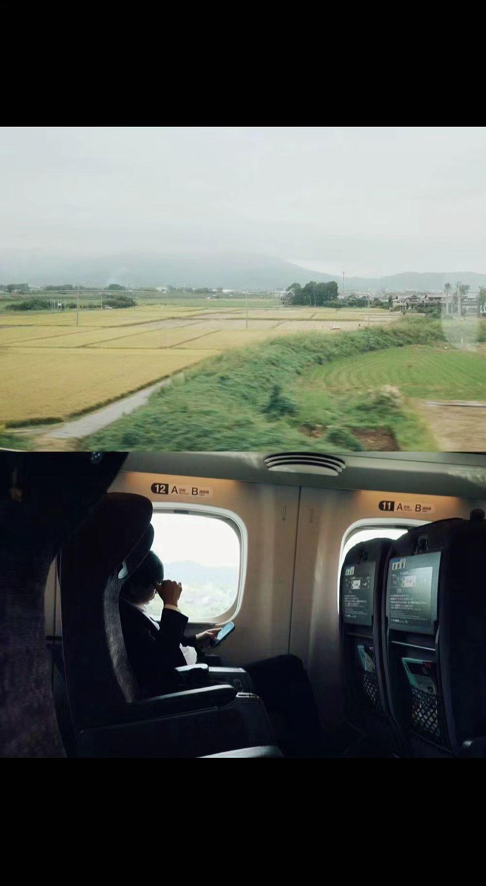🚄窗外稻浪在奔跑，耳机里藏着远方。孤独是移动的风景，下一站叫自由🌾