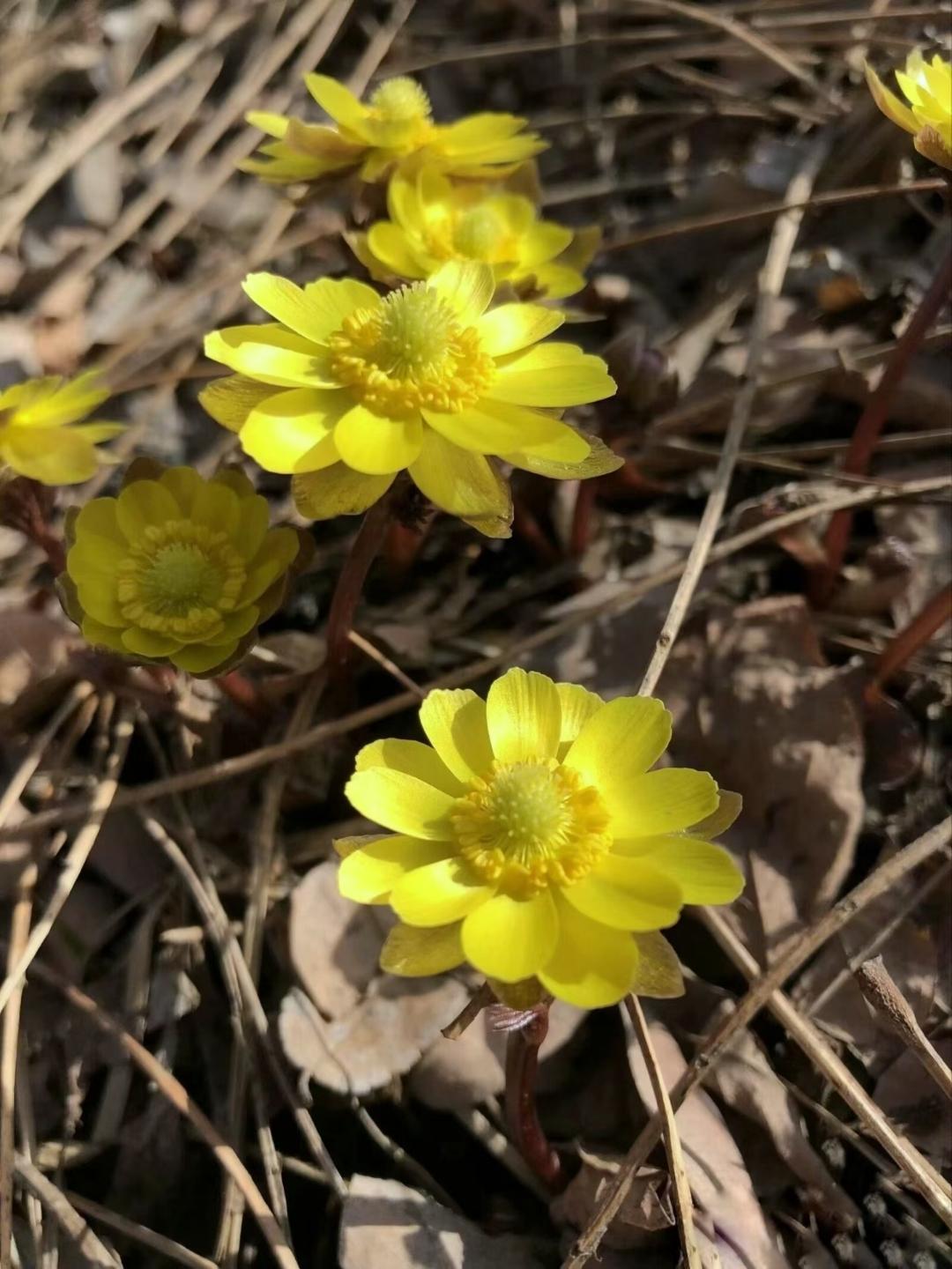 -_7yi2iw


106岁没有“三高”、皮肤透亮！她的“三不”长寿法，医生看