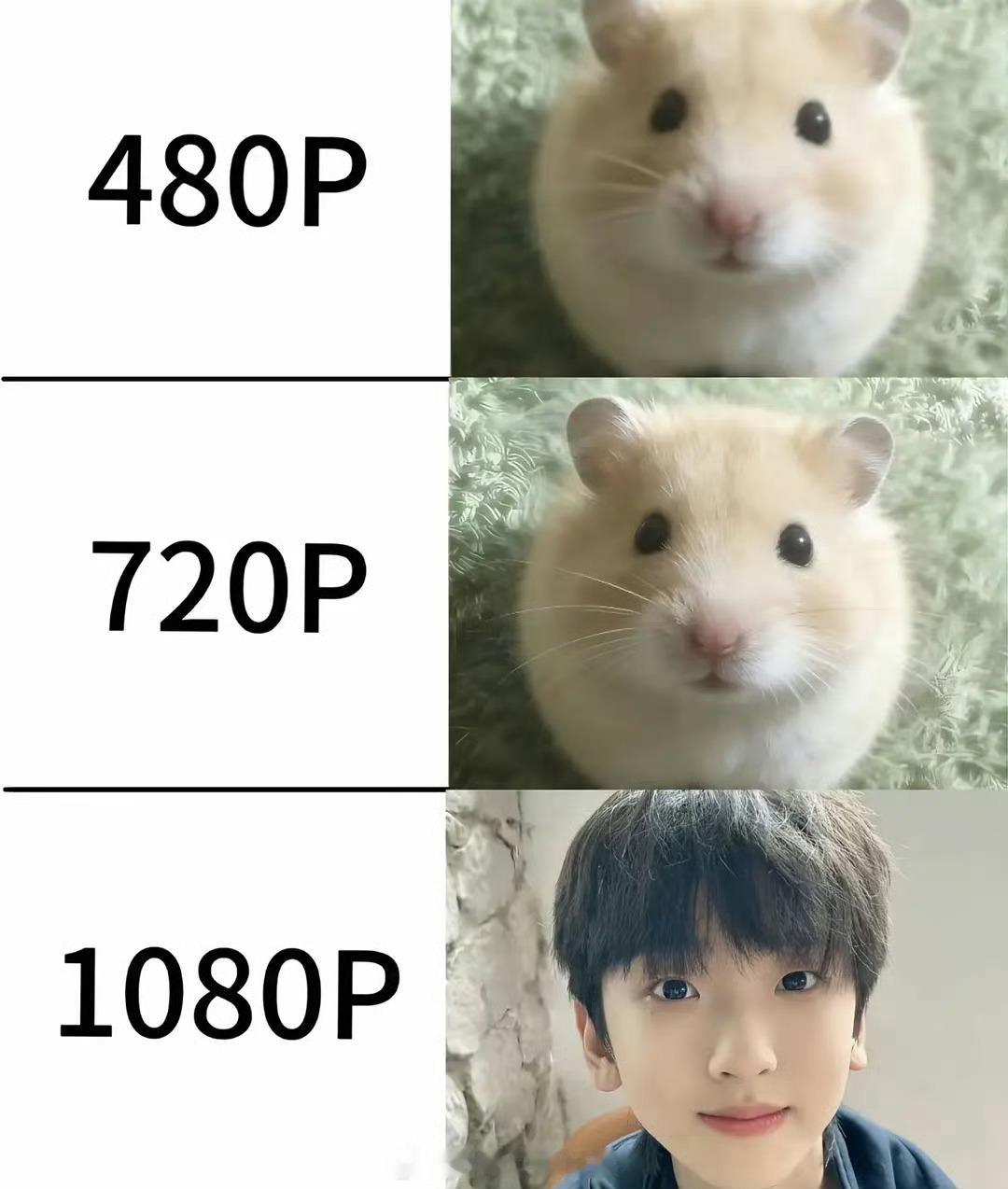 鼠鼠🥰 
