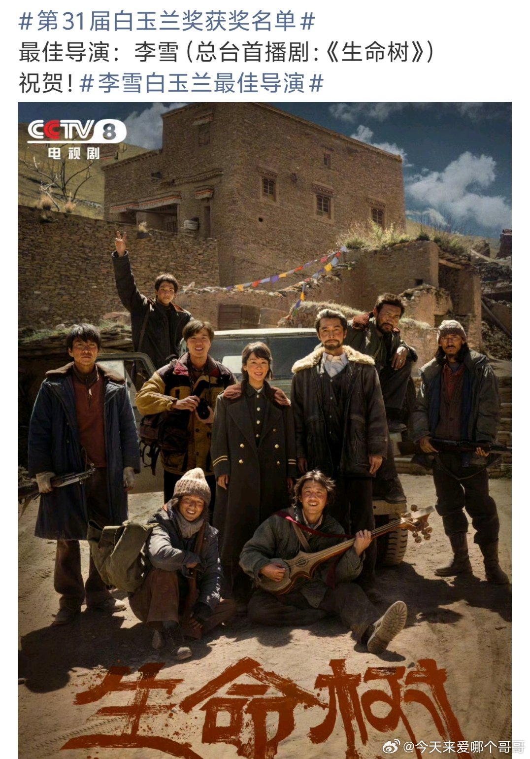 白玉兰最佳导演：生命树 李雪 