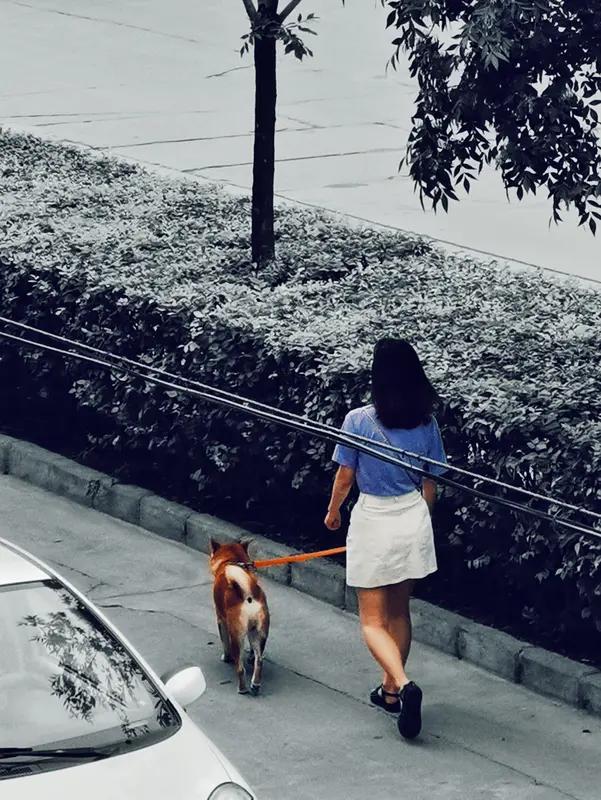 “生活中的小确幸：10个低成本却能瞬间点亮你心的快乐小事”

在快节奏的现代生活