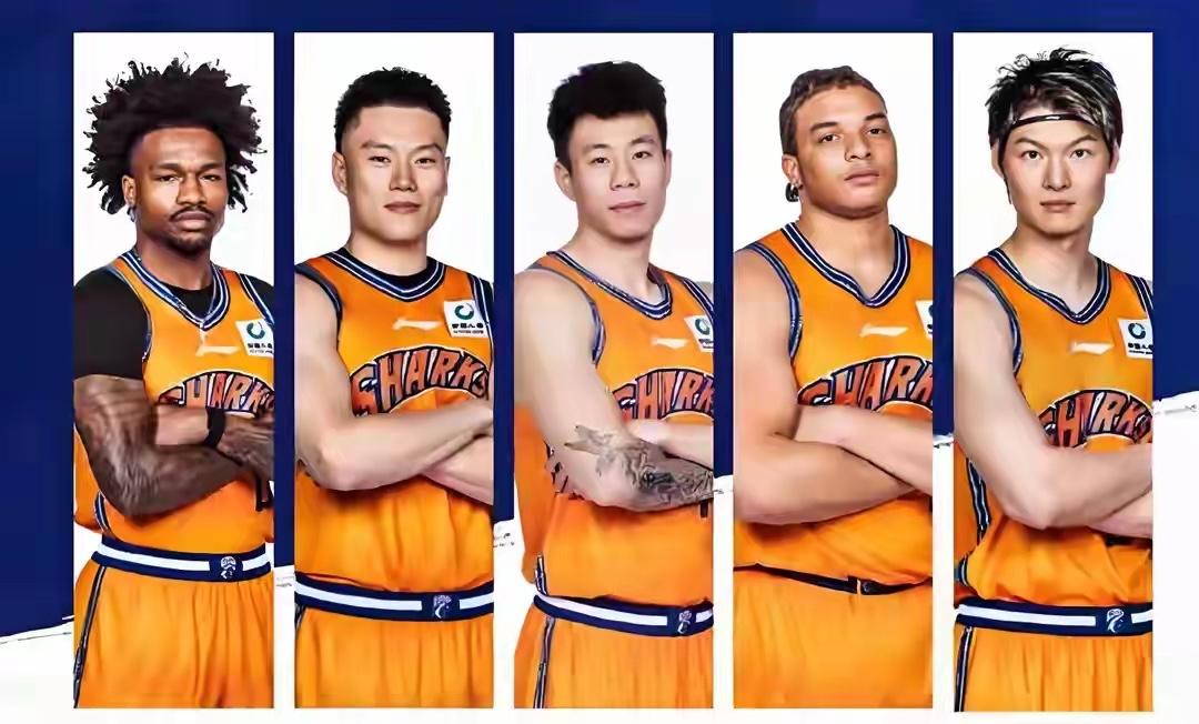 上海不出意外今晚就会登顶CBA总冠军，这是一个最完美的结局，也是绝对实力的体现，