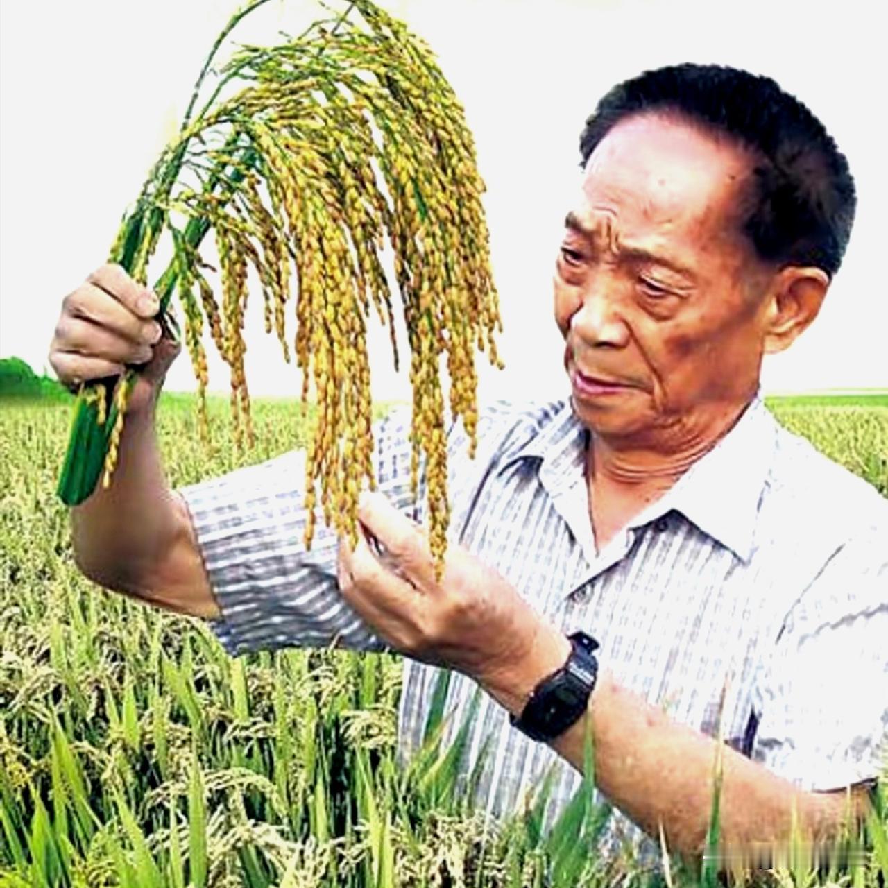 噩耗传开，整座长沙陷入悲痛。数万市民自发涌上街头，追着灵车一路奔跑，含泪呼喊：袁