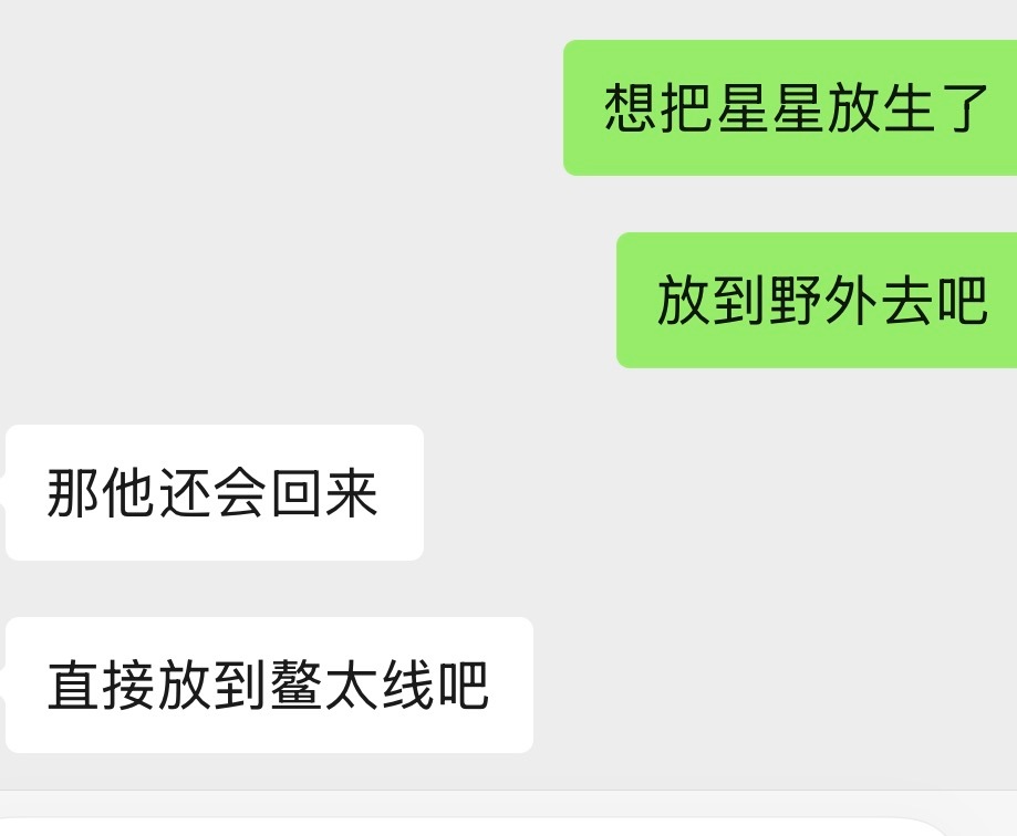 星星徒步回来就这样 ​​​