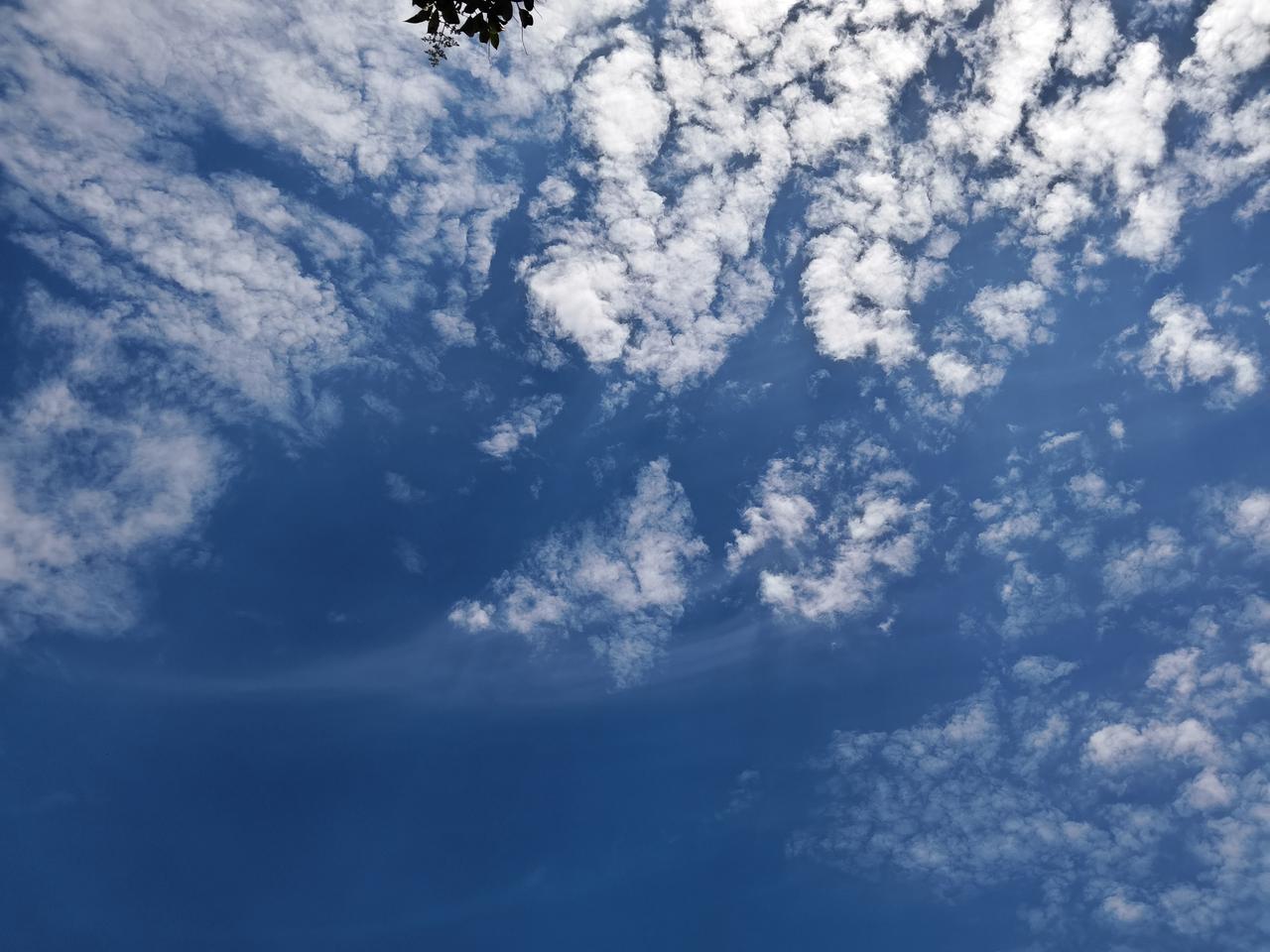 盛夏的天空像一块洗得透亮的蓝宝石，大朵大朵的白云肆意铺展在天际。它们蓬松绵软，如