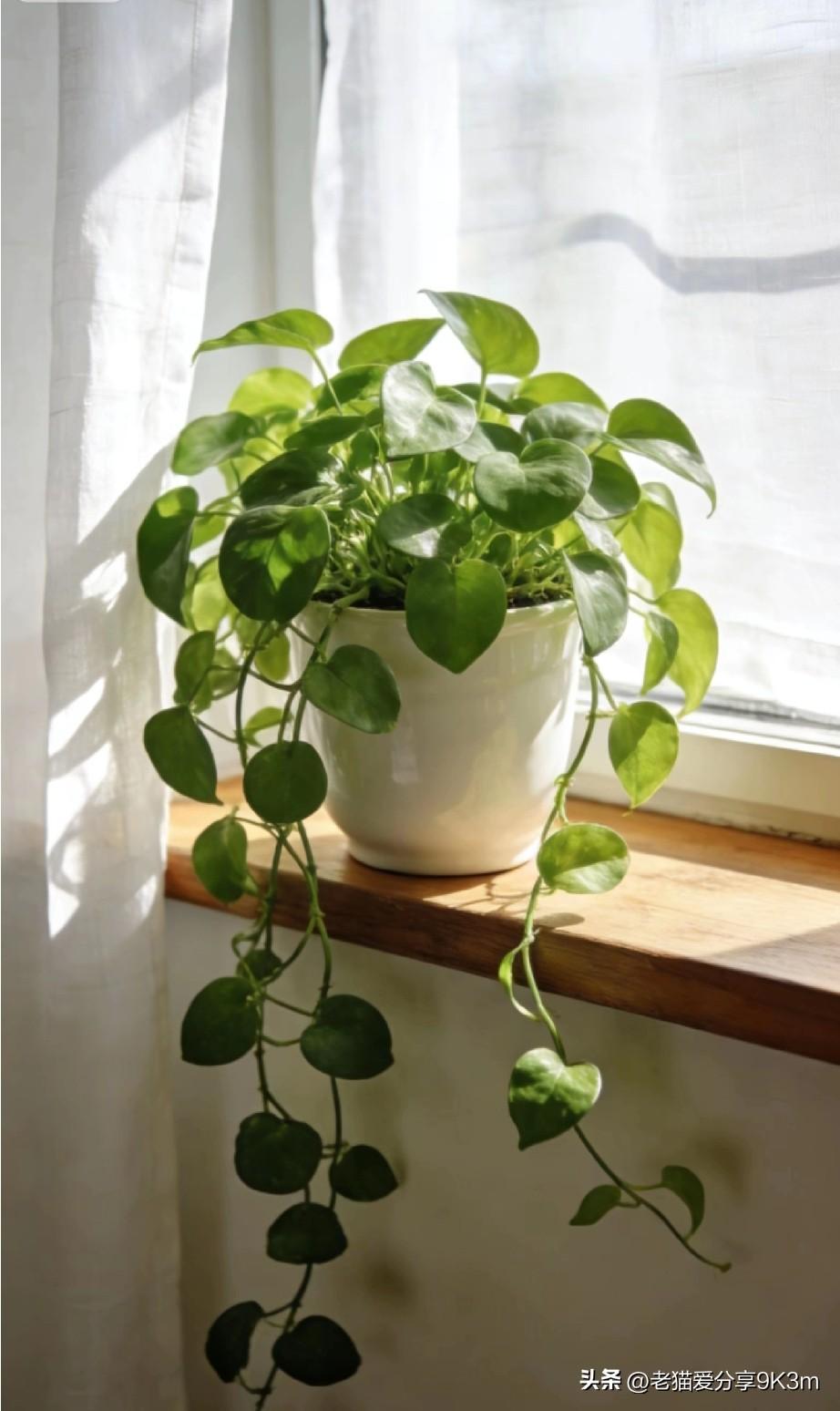 刚才刷到一段话，说得太透彻了
 
分享给所有为生活奔波的朋友：
“凡是跟你半毛钱