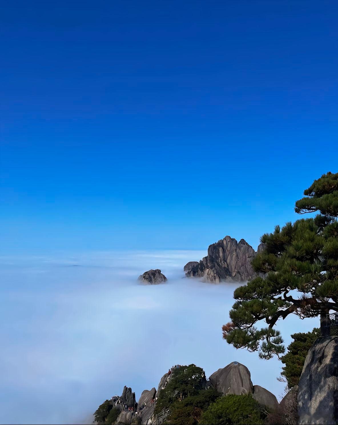 穷人的原生家庭，就是个精神病院，里面住着暴躁无能的父亲，哭穷的母亲，自卑焦虑的孩