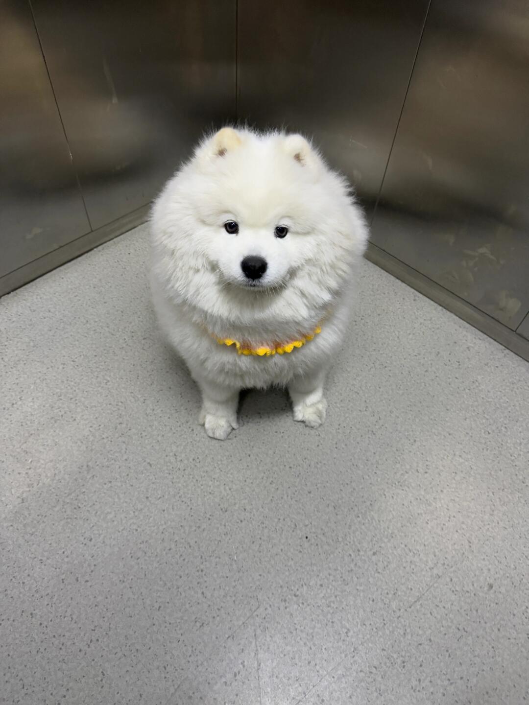 你好，可以帮我按下一楼吗？ 