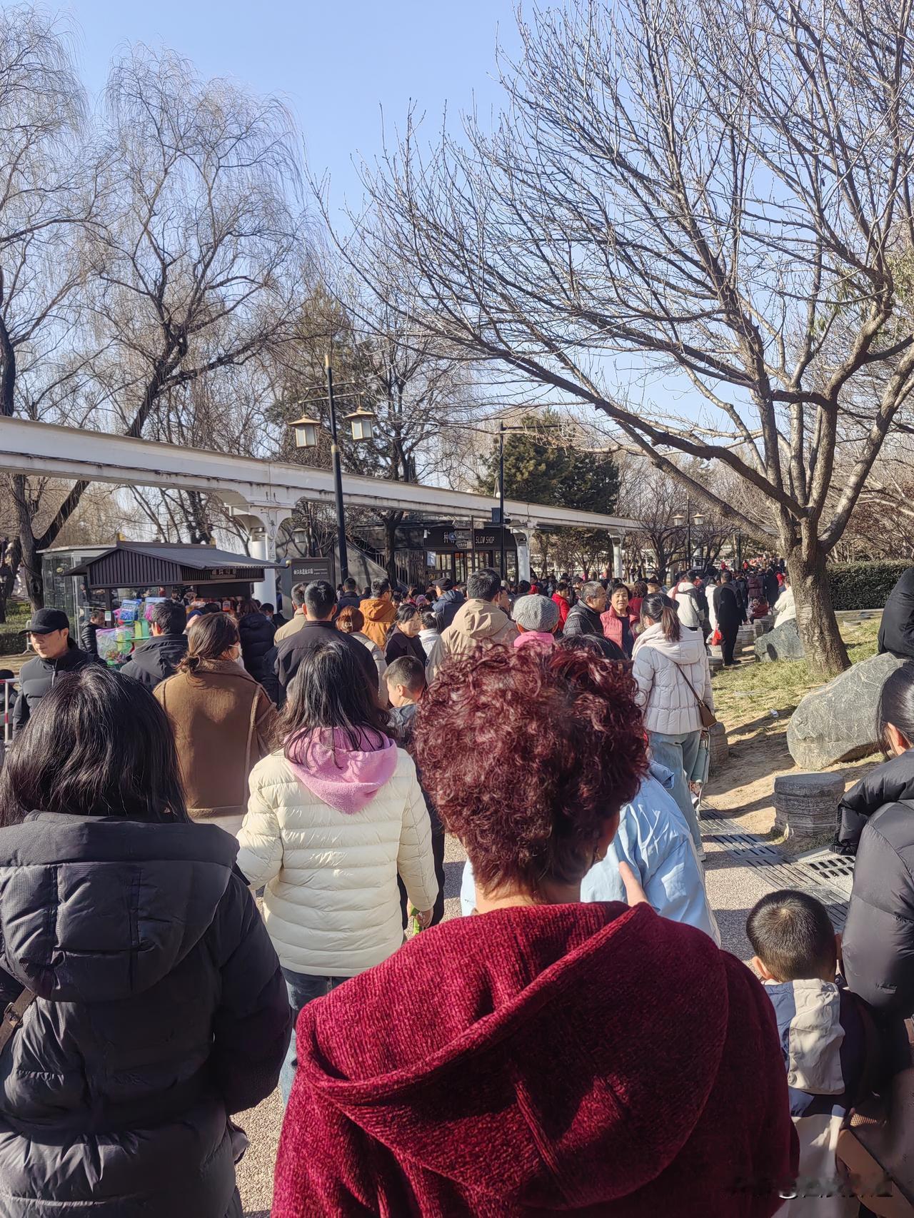 收假最后一天，想着人不多，但出门就会发现，不论是曲江池，袁家村还是大唐不夜城……