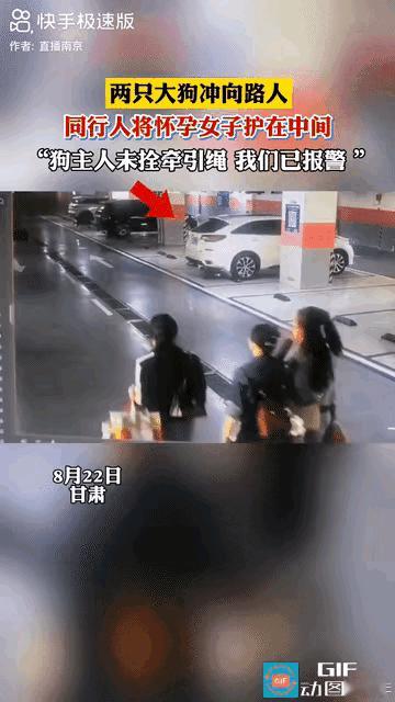 有人看到视频说，狗是狗，人也是人，最怕的就是人明知道出事的可能，还摆出一副我家狗