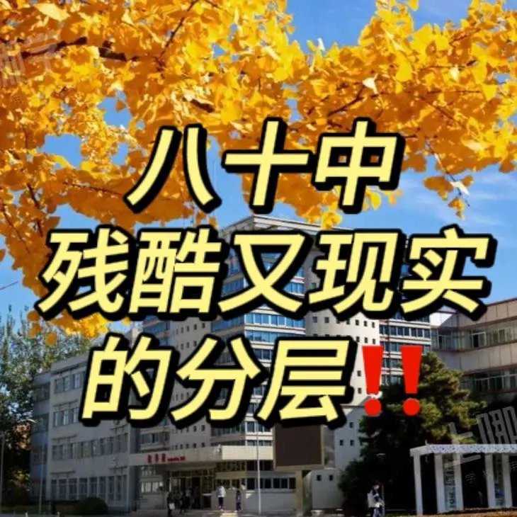 朝阳家长们~八十分层即残酷又现实‼️