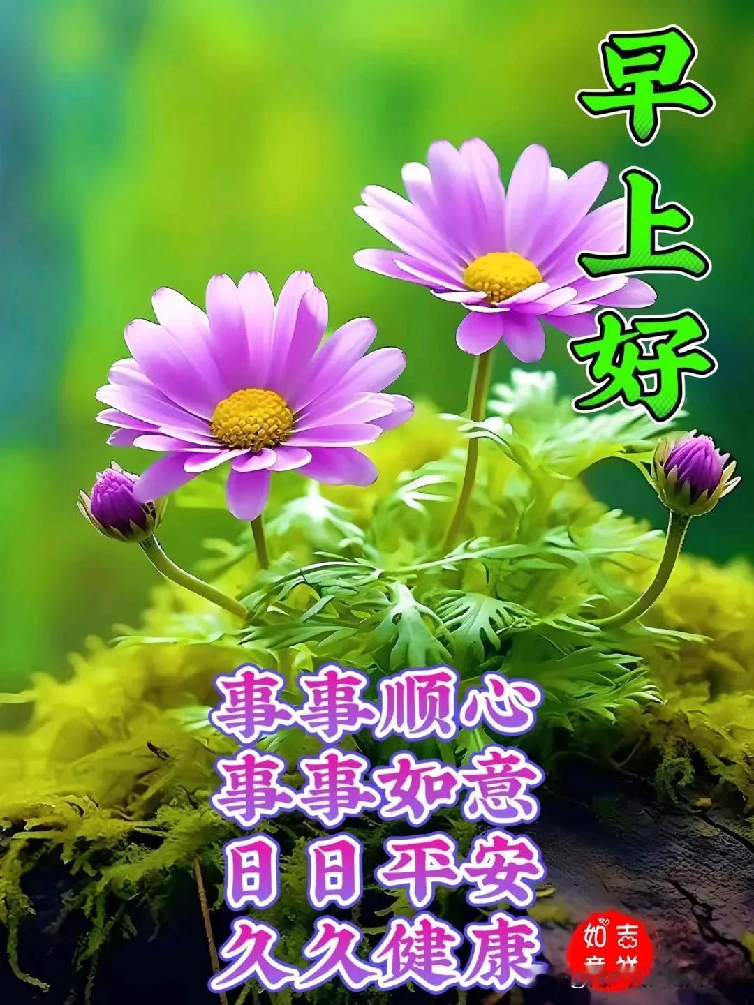 轻轻问候，深深祝福；
健康相伴！幸福相随；
万事顺心！吉祥如意！
[赞][赞][