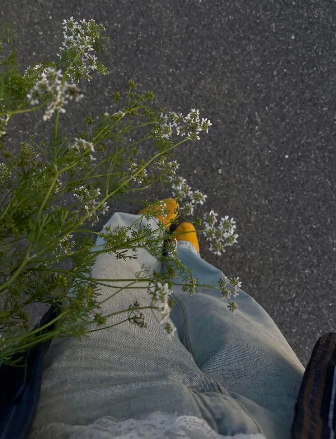 𝓗𝓮𝓪𝓵𝓲𝓷𝓰 🌧️ ☺︎° 🌱允许脆弱，原谅遗憾，生活自有答