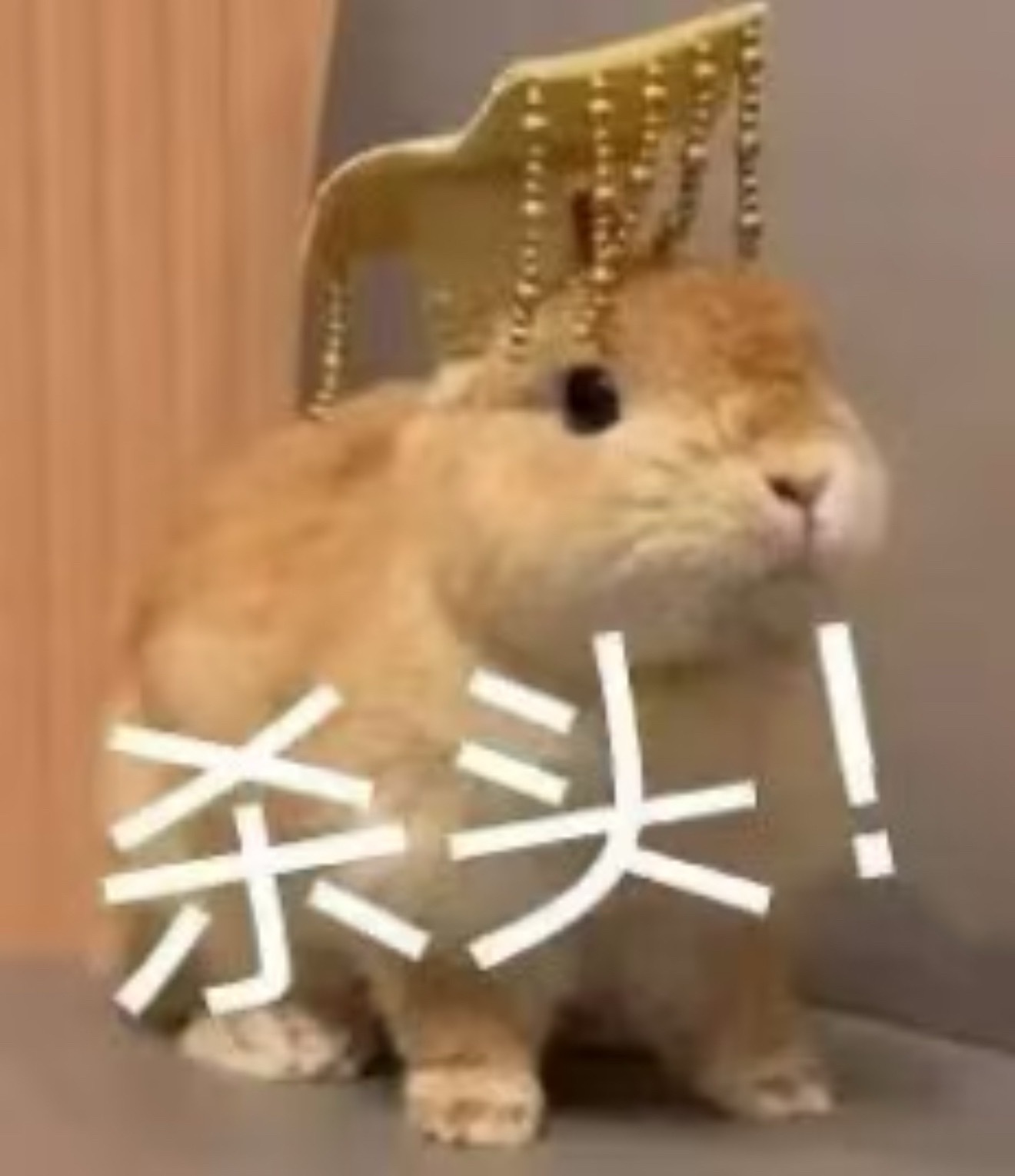 陛下息怒啊！！！ 