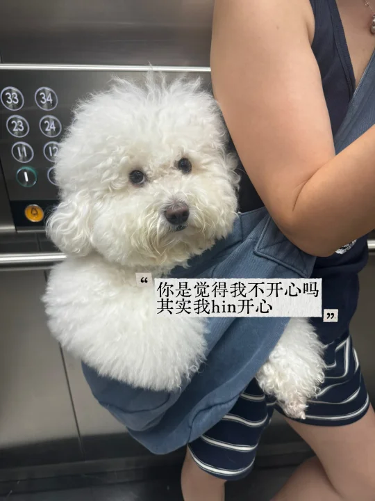 其实我hin开森！因为我霸占了姐姐的包