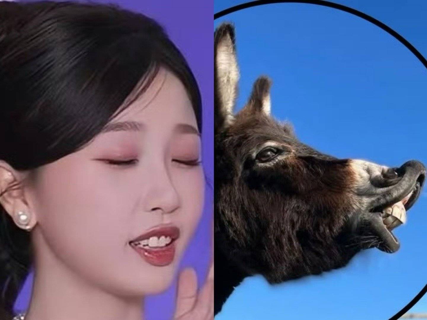 是因为知道我女去了河南所以送上驴肉火烧是吧 ​​​