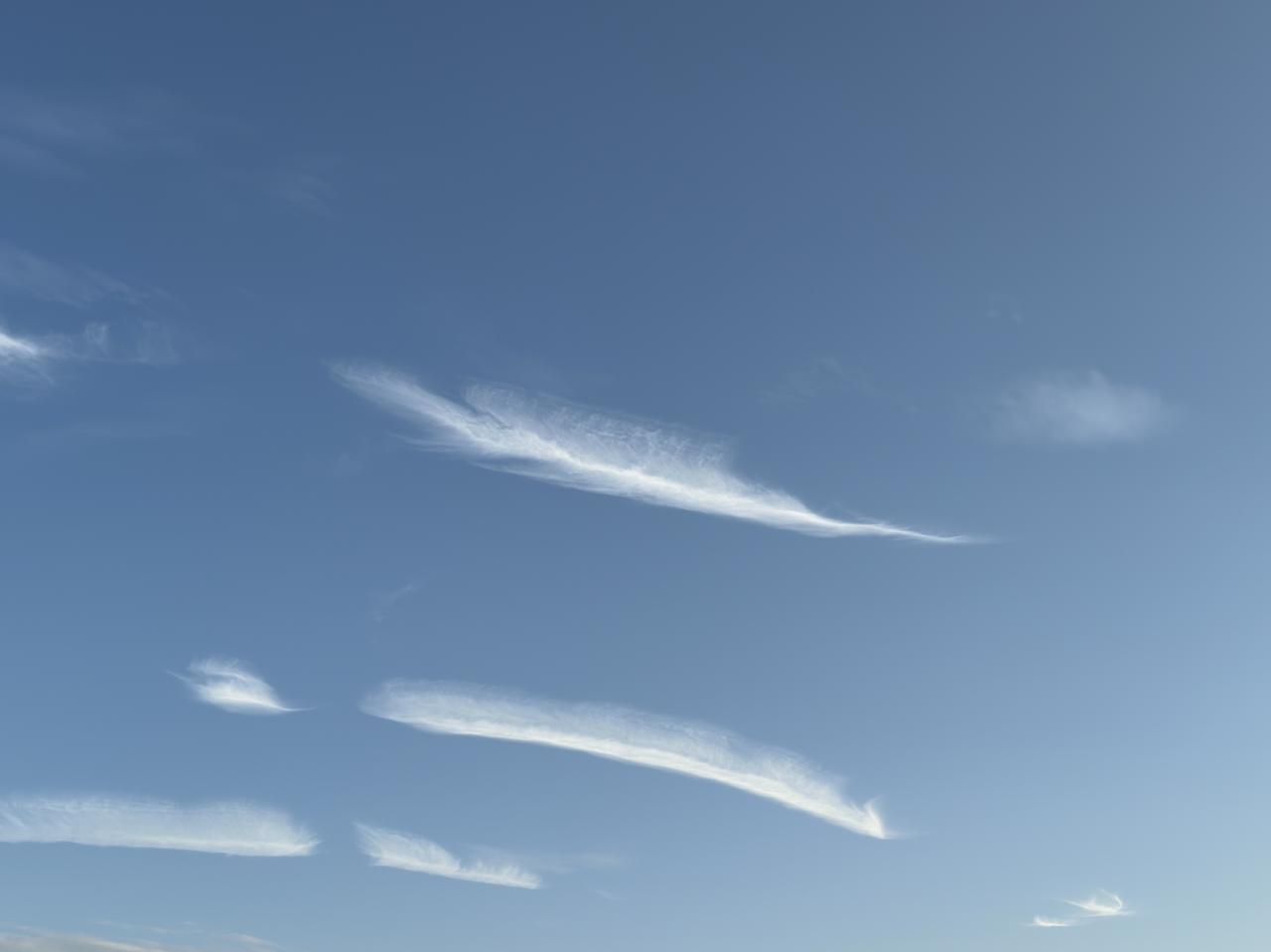 一张相册里随手拍的天空天津滨海新区天空随手拍。