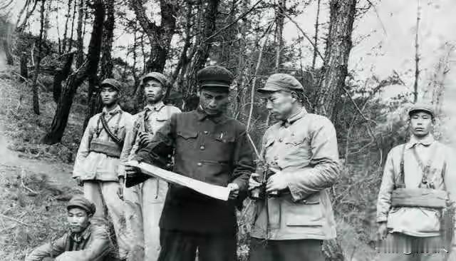 1964年，听闻王近山再婚，韩岫岩沉默良久：乱世相守，盛世离散最伤人
 
196