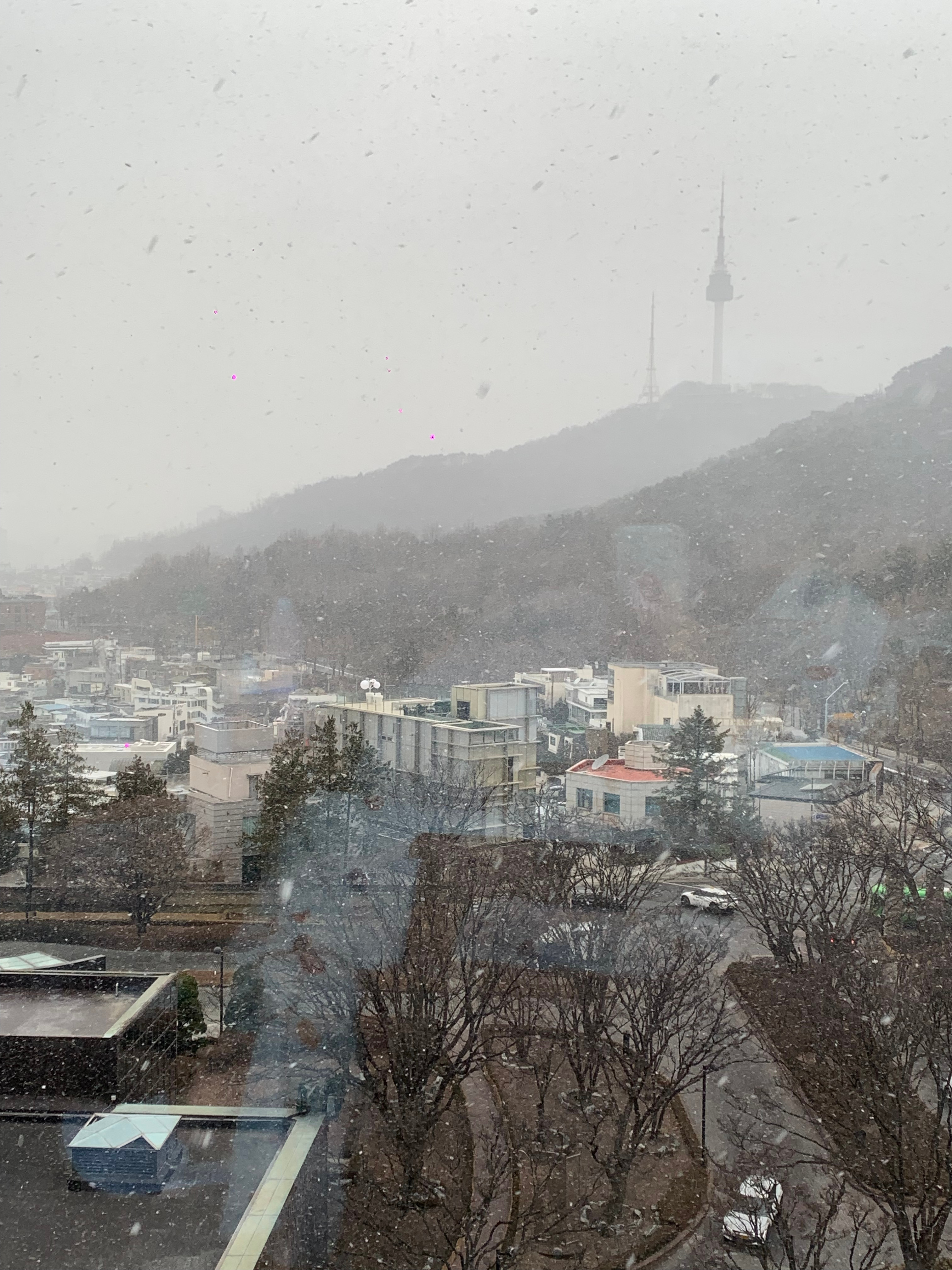 来首尔的第二天 下雪了❄️ 