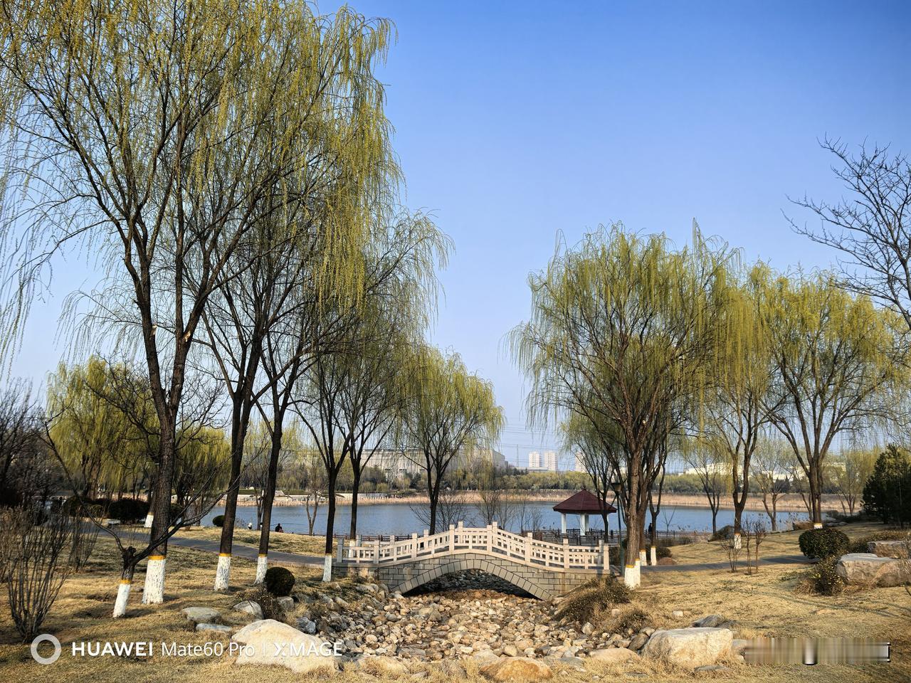 1. 造价咨询，一半是专业尊严，一半是生存妥协。
2. 我们算得清钢筋混凝土，却