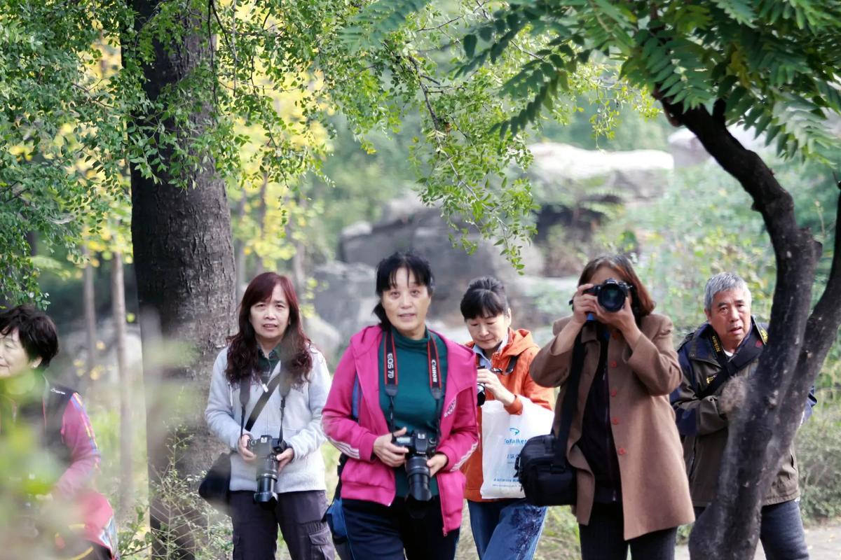 退休后玩摄影,拍什么题材最合适?
人一旦到了退休年龄，就意味着自己已经迈入老年时