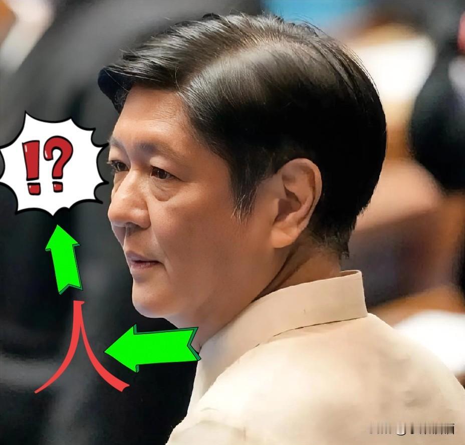 再次上演
现代版农夫与蛇
真心不该被这样消耗，菲律宾一边收着咱们的援助，一边跟他