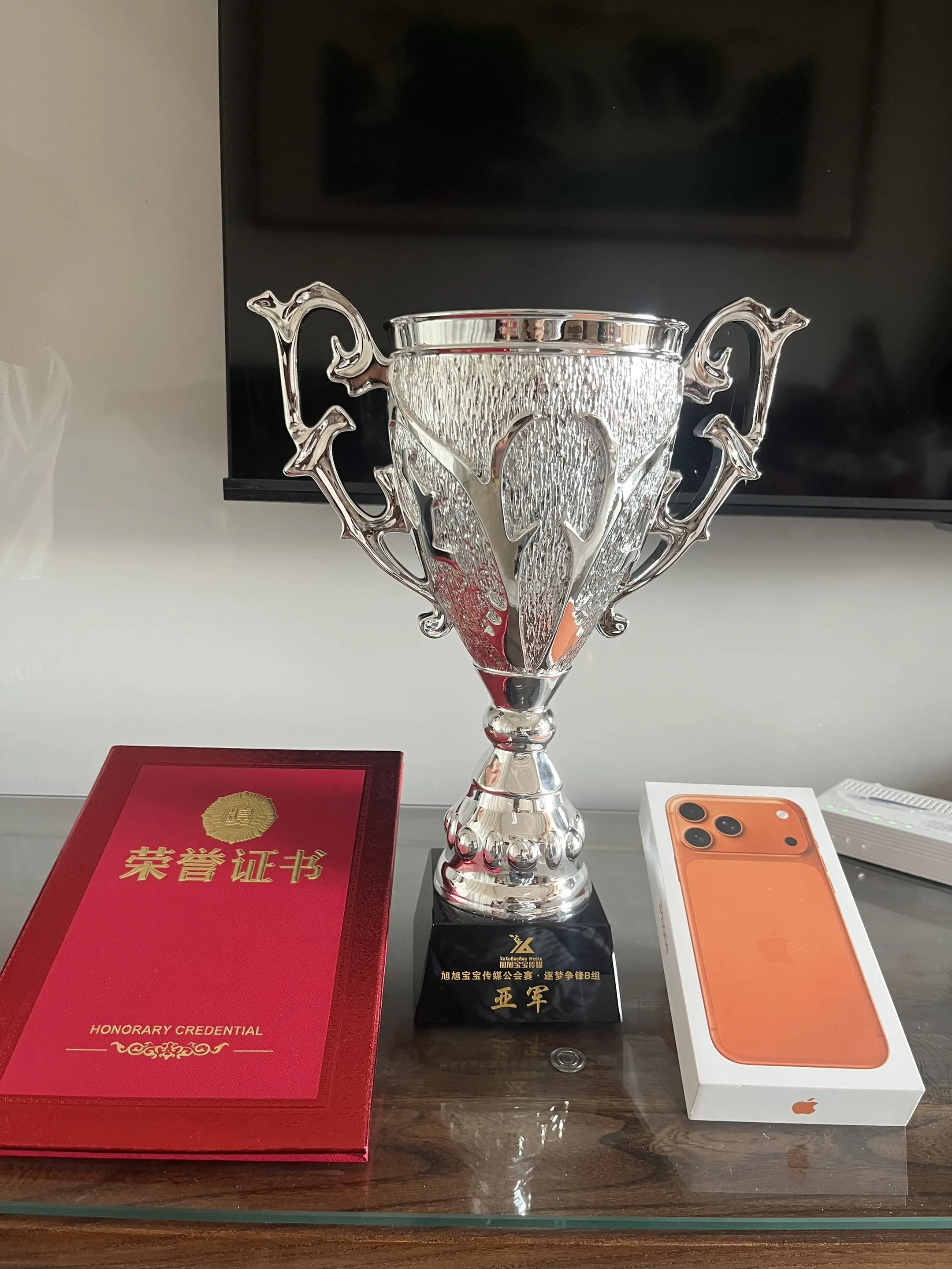 感谢我这无数双隐形的翅膀，谢谢你们不顾一切的托举！让我在这次公会赛上拿...