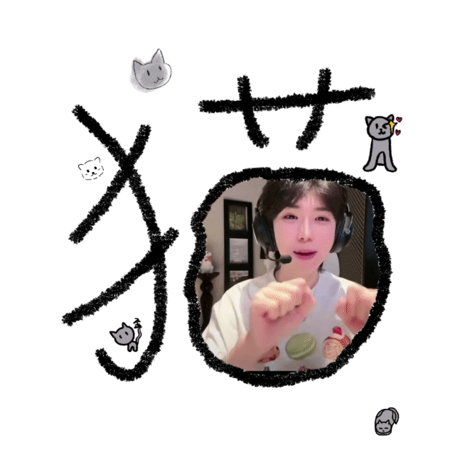 这个动图我好像都听到喵喵喵喵喵了 