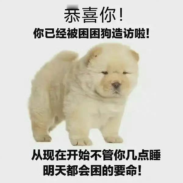 喝个奶茶睡觉了，还是🍎就行，明天怎么又周一了[苦涩]   