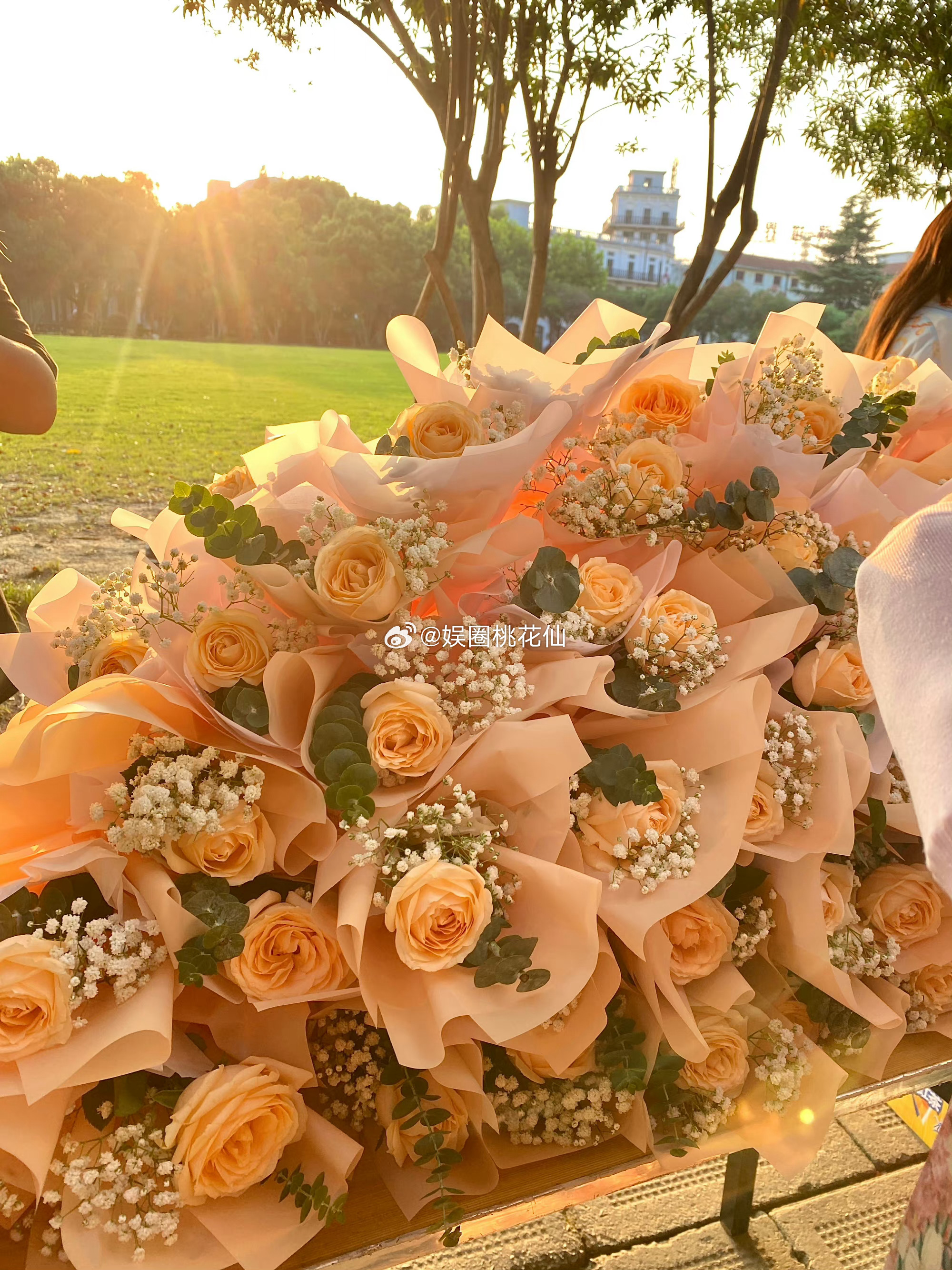 #陈哲远给粉丝逆应援送花# 感觉无论是谁都应该想成为陈哲远这份礼物中的一人吧，感