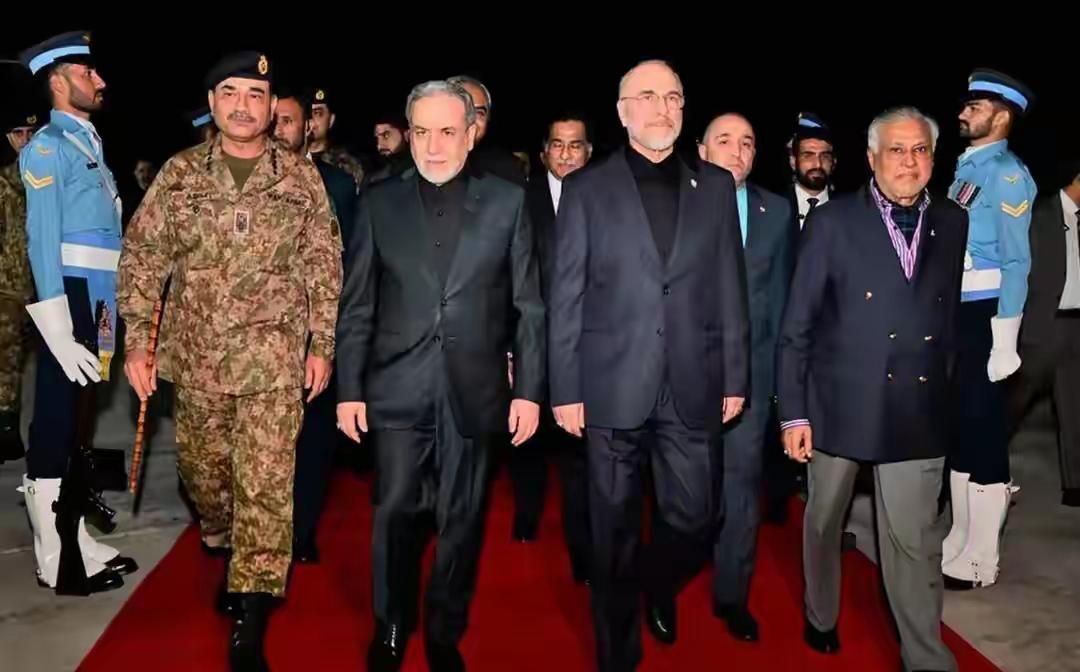 反常！美方猛夸伊朗议长：不是一般人，不当领导人太可惜！背后真相太现实
 
国际政