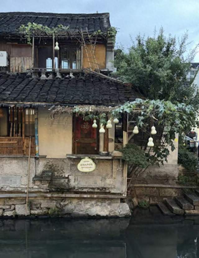 75岁失独老人被逼剪藤，这场赛博围猎还要吃多少人？