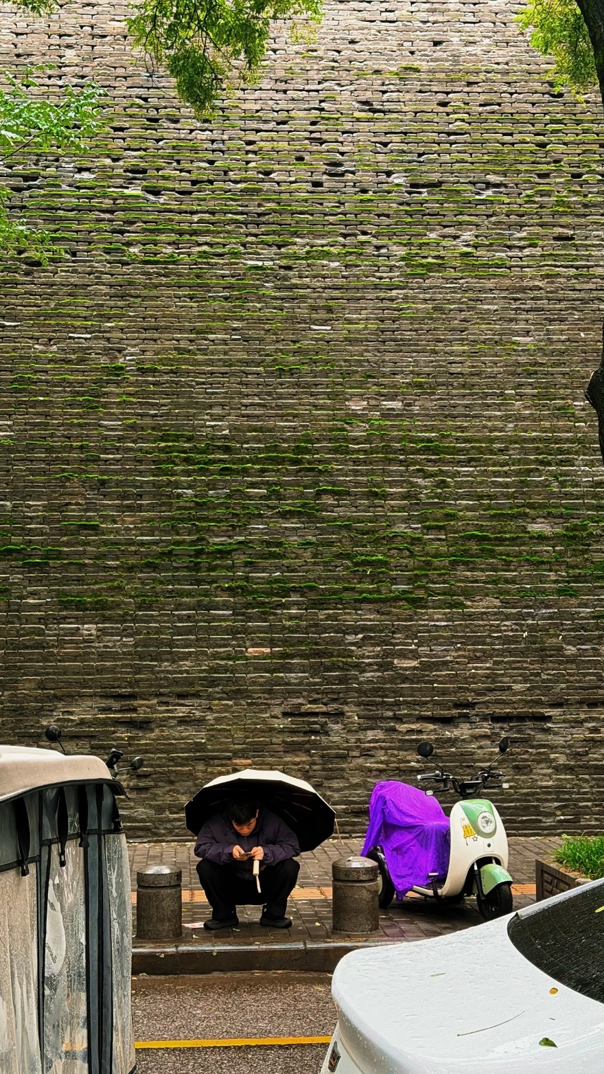 今年的阴雨天气是不是有点太多了[傻眼]刷到西安的城墙都被雨下绿了…有点生机盎然是