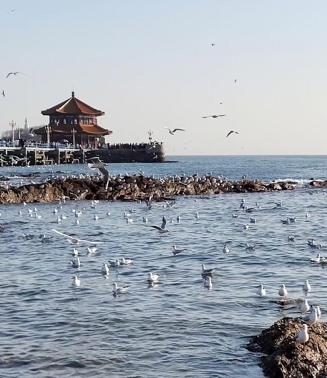 青岛绵长的海岸线像一条珍珠项链，让青岛熠熠生辉。
由西向东栈桥、小青岛、海军博物