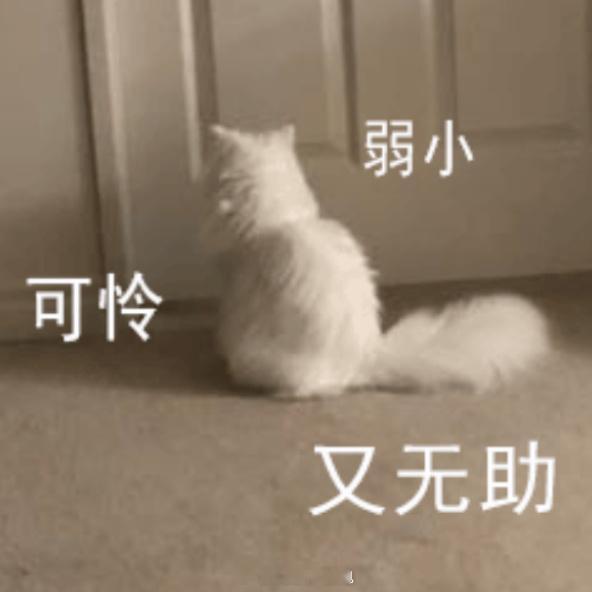 真的崩溃了…我这个人最害怕的就是没有腿的爬行动物，尤其是蛇和蚯蚓……我就根本不敢