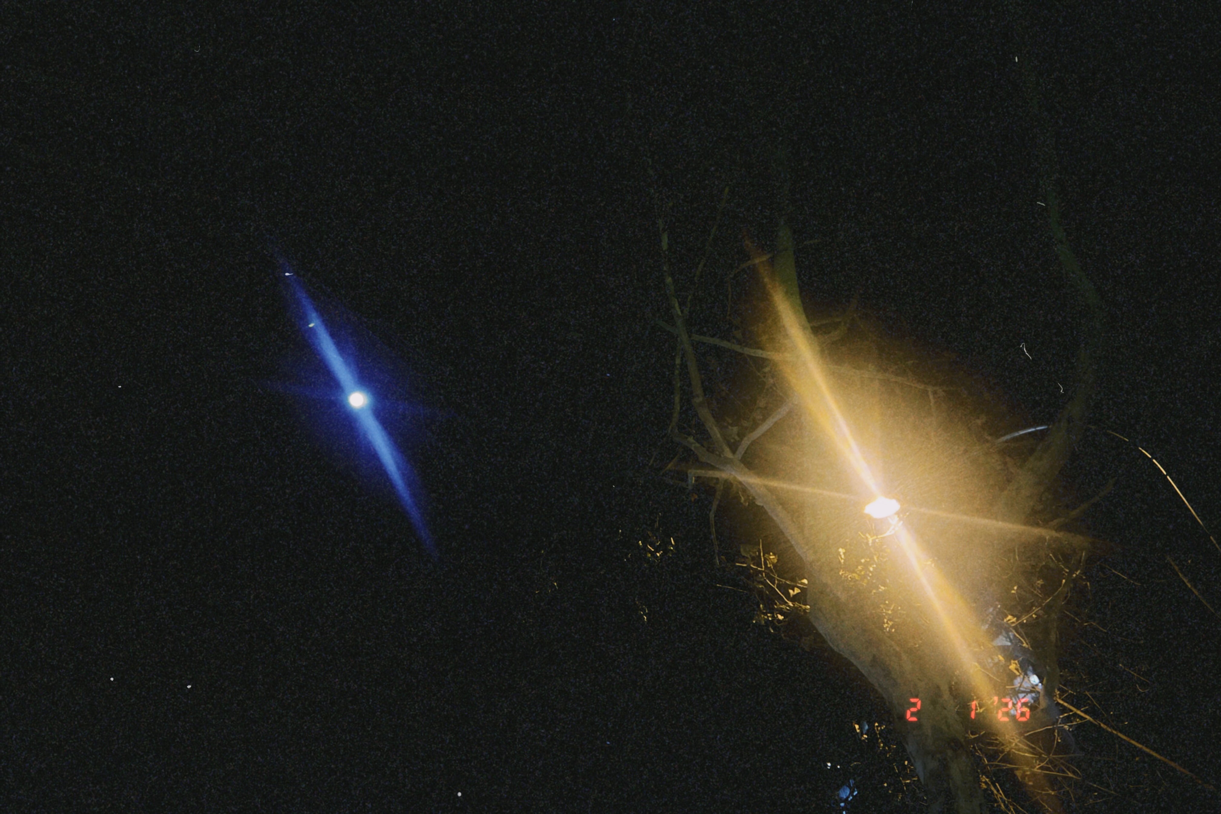 记伊岁片 ✨大家吃春饼都包些什么在立春开启新光景马年大吉