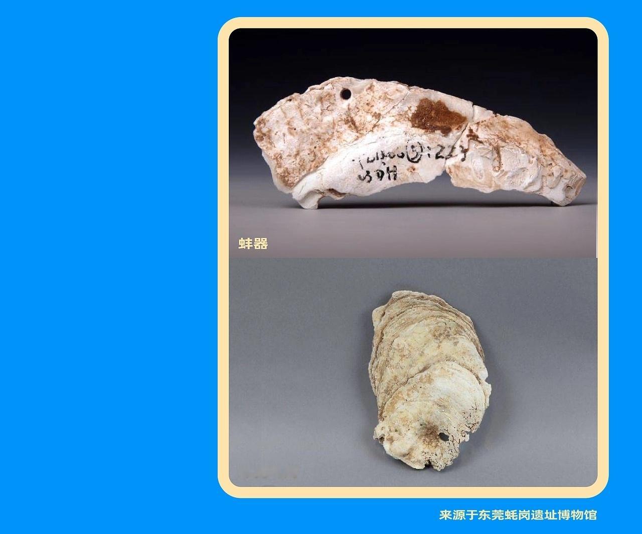 遇见艺术 东莞蚝岗遗址博物馆×谢谢｜IP形象设计by 谢谢设计 