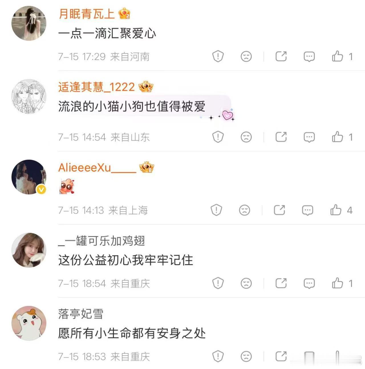 鸿星尔克店内收留流浪猫狗鸿星尔克真的一直走在公益路上，从赈灾到救助流浪小动物，踏
