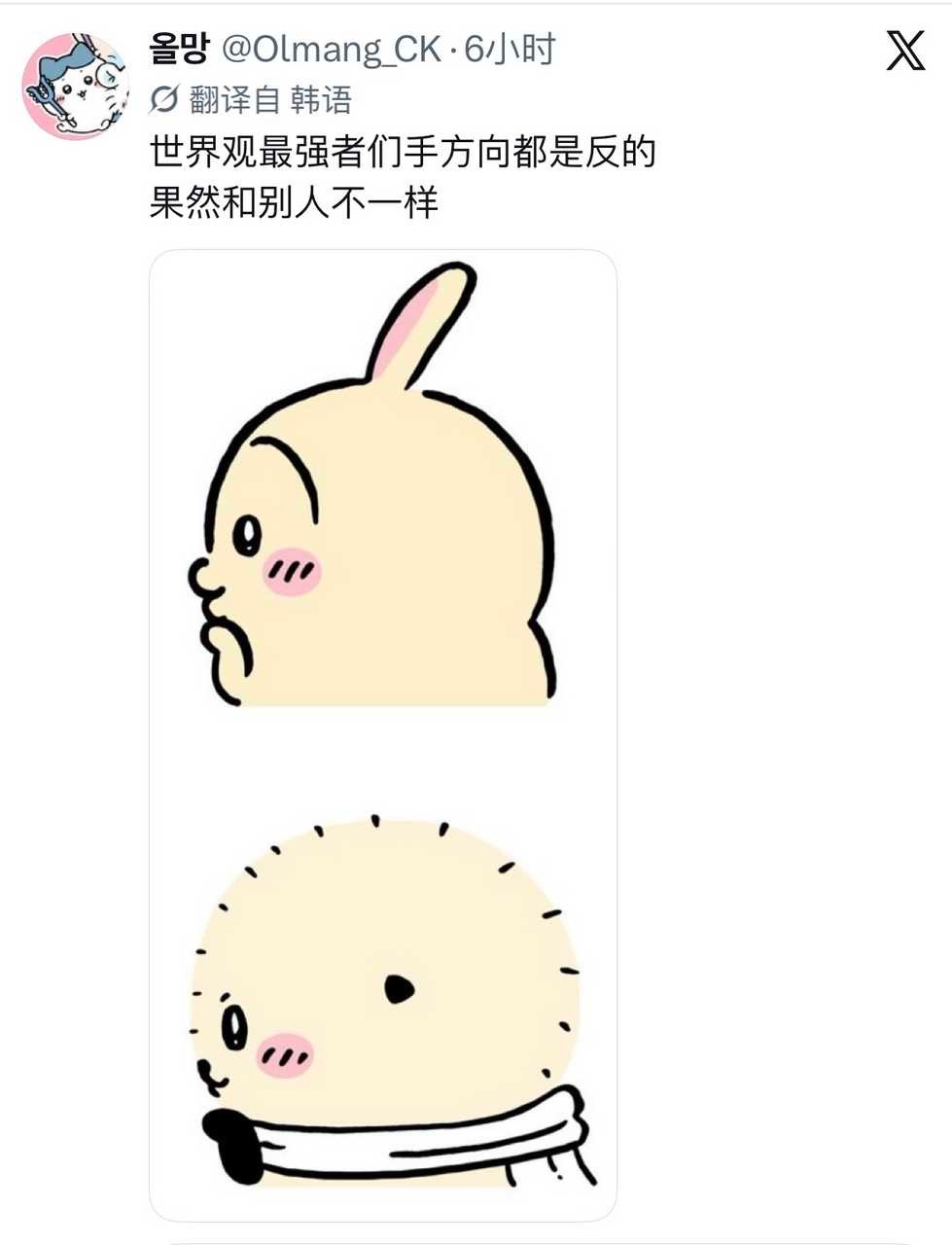 不要小瞧了兔子！ ​​​