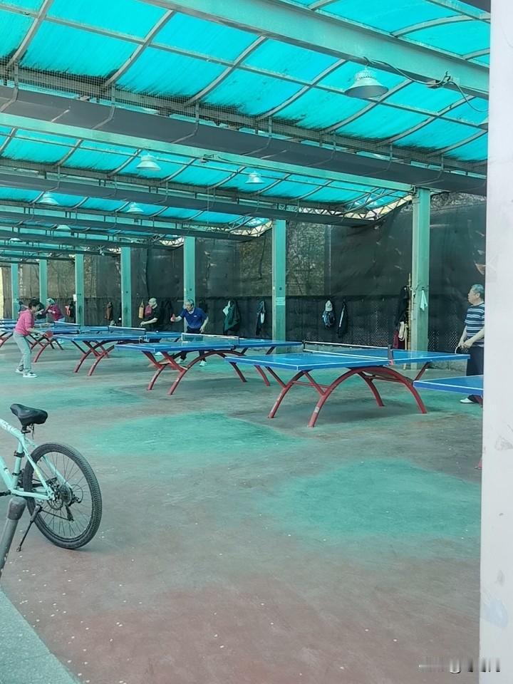 全民运动从打乒乓球开始，不管男女老少，每一位上桌的都身手不凡。