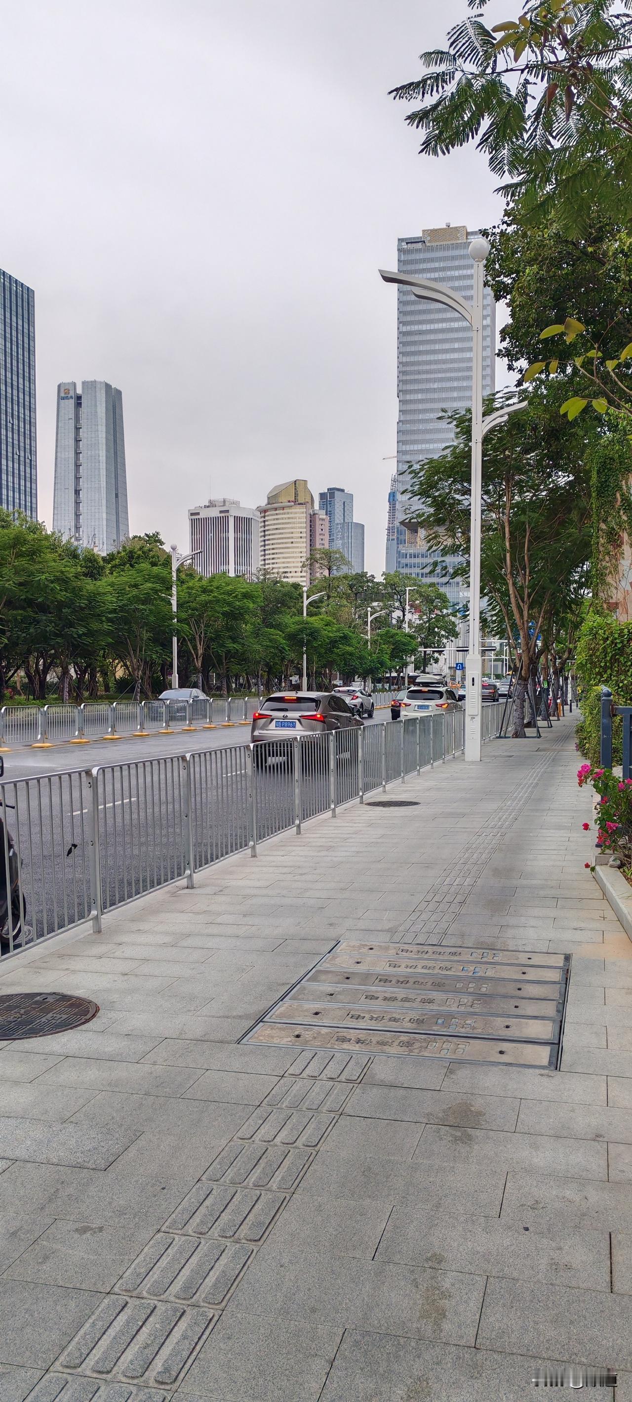 今早客人散场后，打烊时，说起质检咋没信儿了呢？上周就在南山区了。
店助突然说出了