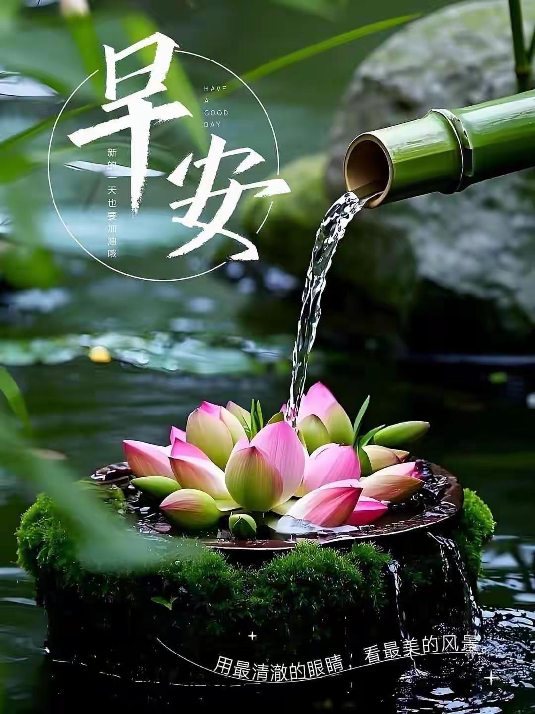早安，用最清澈的眼睛，看最美的风景。[烟花][玫瑰][微风]