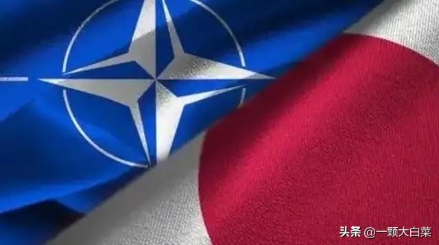 有人说，日本若加入北约，中国麻烦就大了，如果中国放任不管，让日本加入北约，中日发