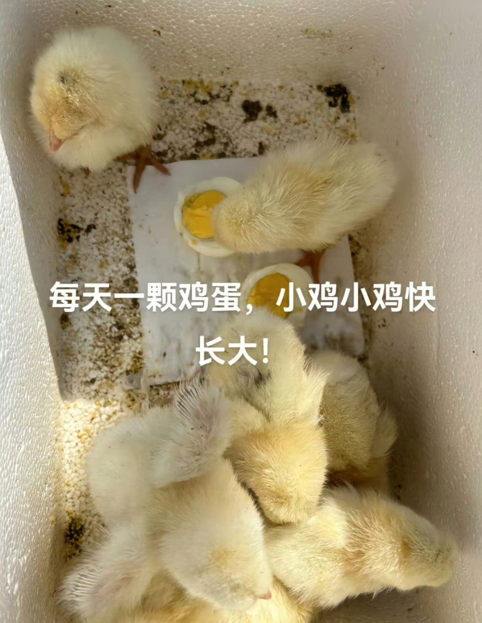 ？？？？？ ​​​