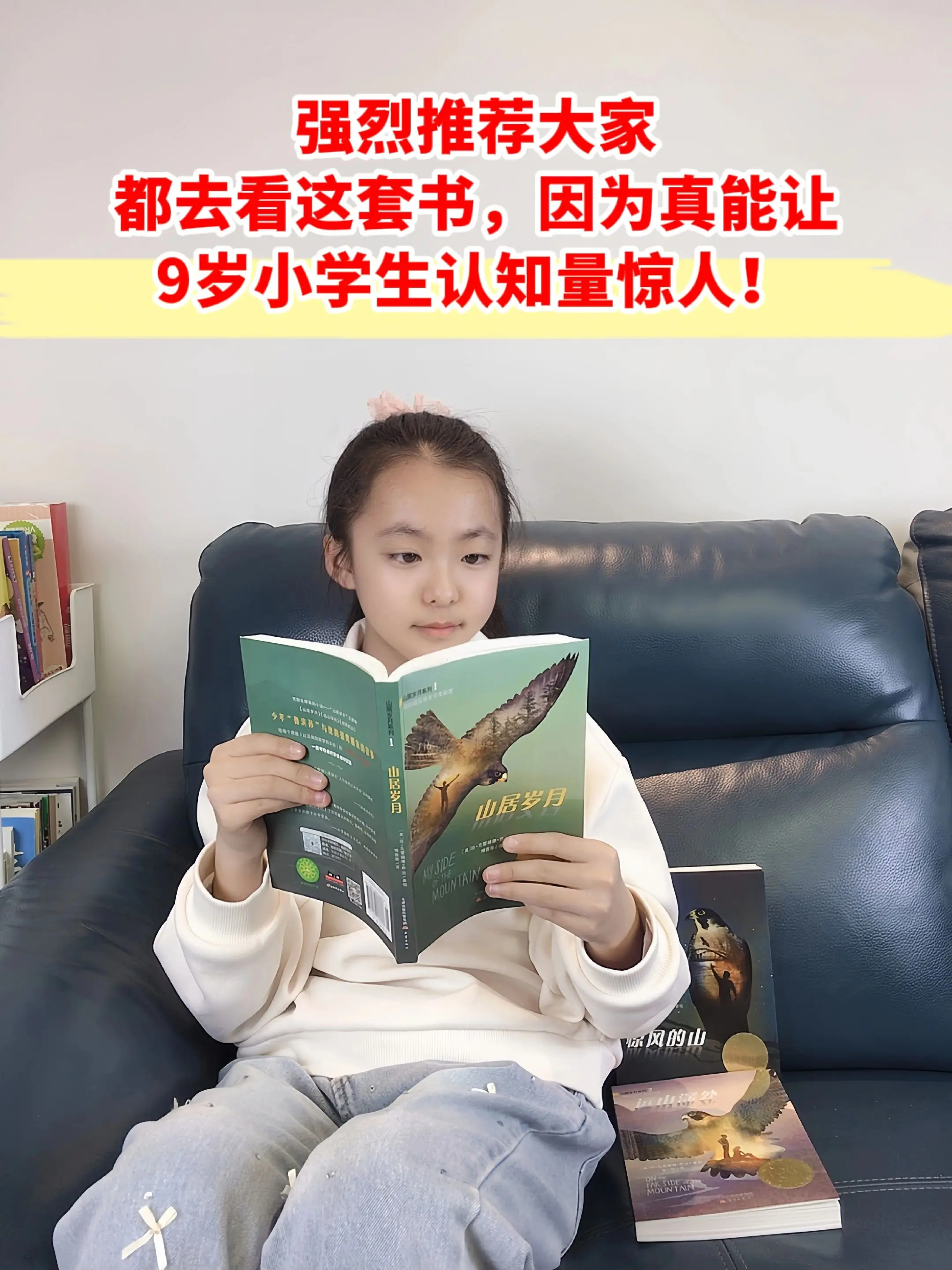 国际大奖，我愿称之为小学生认知力的天花板。这套书讲述的不仅是一个少年从...